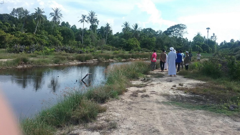 Kelong6